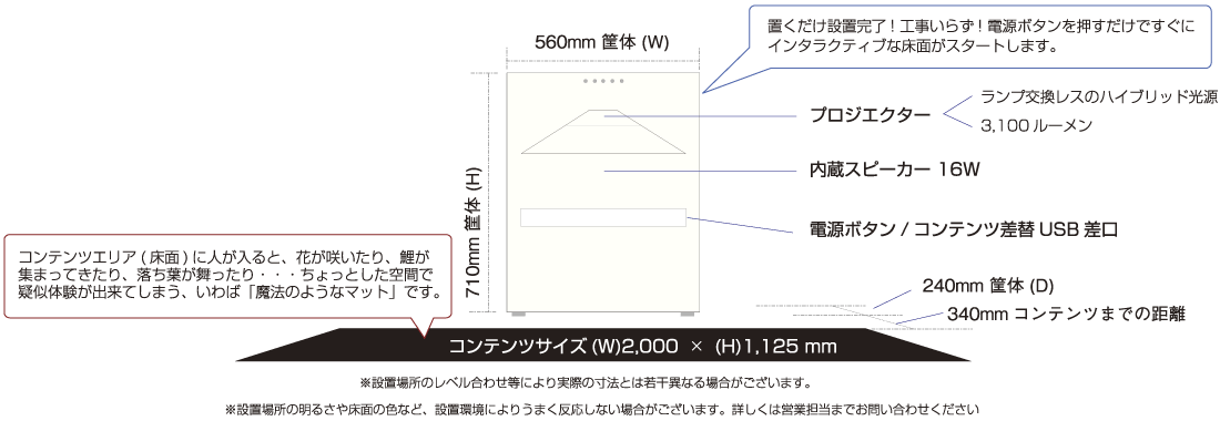 基本情報